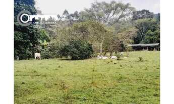 Imagem 3: Sítio à venda em Pariquera-Açu SP