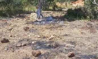 Imagem 3: Terreno Terreno / lote com venda por R$70.000