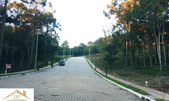 Imagem 5: Terreno bairro Linha Imperial, Nova Petrópolis RS Ref.:1043