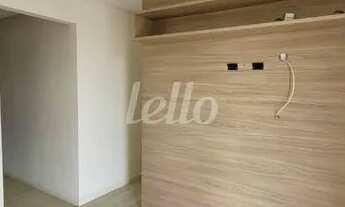 Imagem 5: São Paulo - Apartamento Padrão - Jardim Avelino