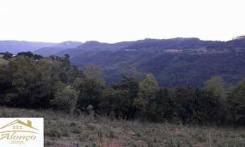 Imagem 7: Área de terra bairro Linha Imperial, Nova Petrópolis RS Ref.:884