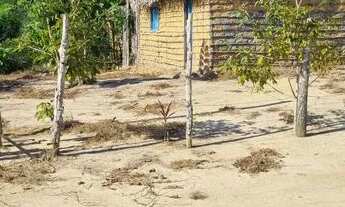 Imagem: Comunidade Castela 32 frente, 200 de fundos