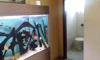 Imagem 2: Sobrado com 3 dormitórios à venda, 293 m² por R$ 950.000 - Vila São João - Caçapava/SP