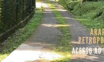 Imagem 2: PETRÓPOLIS - PADRÃO - ARARAS