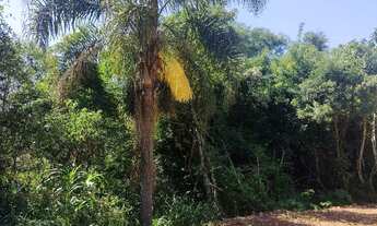 Imagem 5: Chácara 20 mil metros