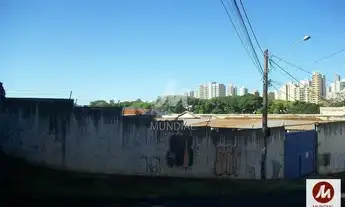 Imagem 2: Salão/Galpão (salão - térreo