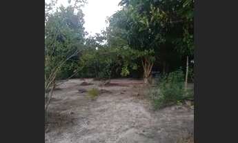 Imagem 5: Vende-se sítio em Alcântara MA