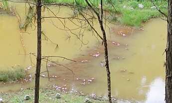 Imagem 5: Super 6 mil mts pra renda comporta 50 pessoas 357 mil reais