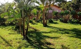 Imagem 2: Vendo essa chácara no Japão grande município de Carmópolis de Minas