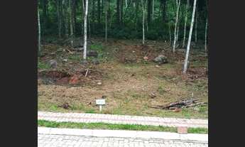 Imagem 3: Terreno bairro Linha Imperial, Nova Petrópolis RS Ref.:1043