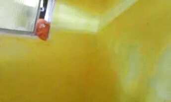 Imagem 6: Casa na ur 3 ibura