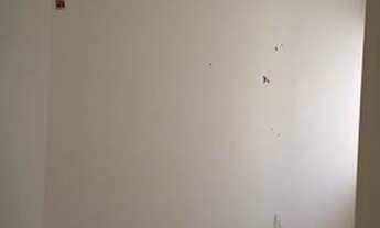 Imagem 2: USA PRATICAL LIFE MOEMA