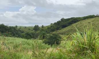 Imagem 2: Lote/Terreno para venda possui 40 ha em Moreno - Pernambuco
