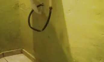 Imagem: Aluga-se casa em Correas,Petrópolis-RJ