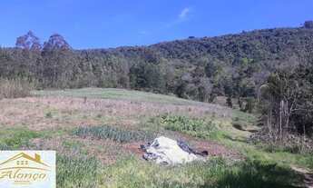 Imagem 4: Belíssima área de terra em Picada bairro Joaneta , RS Ref.:654