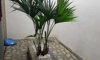 Imagem 4: Casa Vende-se ? Casa com 2 dormitórios