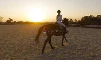 Imagem 4: Terreno à venda, 2699 m² por R$ 2.400.000,00 - Condomínio Terras de São José II - Itu/SP