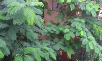 Imagem 7: APTO AYROSA Apartamento com 2 dormitórios