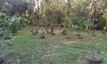 Imagem 4: Sitio Rio das Pedras - Alexandra