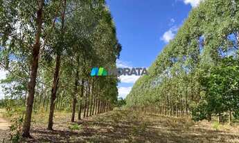 Imagem 7: FAZENDA À VENDA - 1.400 HECTARES - CURVELO (MG