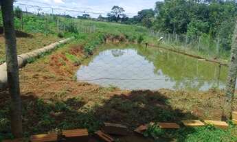 Imagem 6: Chácara de 5.000 m² - Muita Água, Terra Produtiva e Localização Privilegiada!