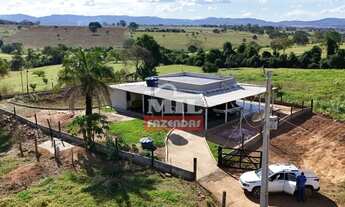 Imagem: Chacara 3 alqueires (14,52 hectares) Heitorai