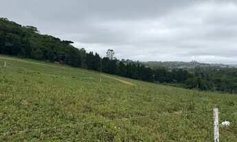 Imagem 4: Lançamento que Faz Sucesso: Lotes 500m² com Excelente Custo-Benefício em Cotia