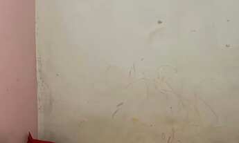 Imagem 7: Casa a venda - Gramacho