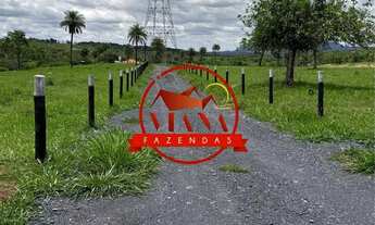 Imagem 6: FAZENDA DE 107 HECTARES (22 ALQ) - FORMOSA GO