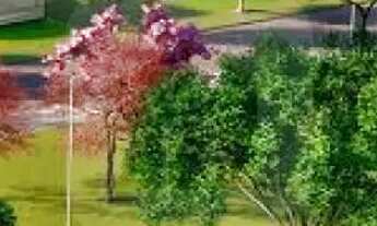 Imagem 5: Terreno para venda no Jardim Sul