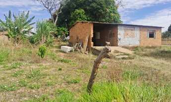 Imagem: Lote no setor Villar Baviera