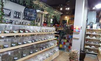 Imagem 5: Salão comercial para Alugar em Santana 300 m 4 banheiros próximo ao metro, em avenida movi