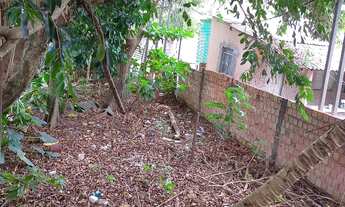 Imagem 6: Casa na cidade nova próximo ao shopping sumuama