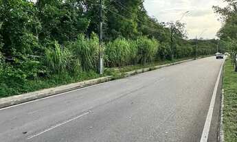 Imagem 3: TERRENO PARA FINS COMERCIAL OPORTUNIDADE NO TARUMA ACEITA PARCELAR