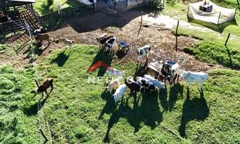 Imagem 3: Sítio em - Centro - São Miguel Arcanjo/SP