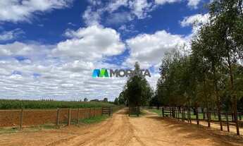 Imagem 3: FAZENDA À VENDA - 1.400 HECTARES - CURVELO (MG