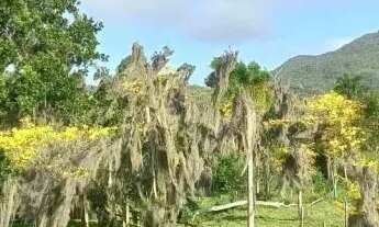 Imagem 6: CASA TÉRREA - VARGEM PEQUENA - SC