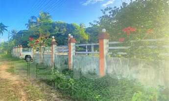 Imagem 2: Chácara à Venda no Povoado Matapoã - Mosqueiro