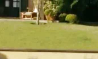 Imagem 5: Mais espaço para sua família: Lotes a partir de 450 m² em Sorocaba!