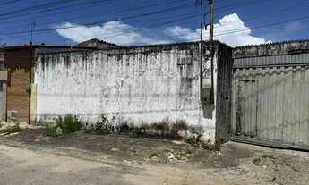 Imagem: EXELENTE GAlPAO, EM ÓTIMO LOCAL, ÓTIMO