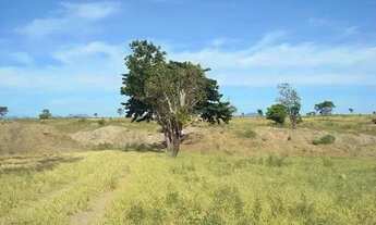 Imagem 2: ÁREA 19.000 M² RUA DO COQUERINHO PARQUE SANTO DUMONT