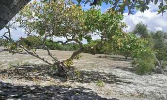 Imagem 4: Vendo lotes no Povoado Flexeiras em Santo Amaro das Brotas