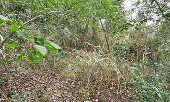 Imagem 7: Terreno à venda em Condomínio Maria Paula, 310,61m²