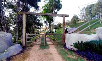 Imagem 8: Residencial Lote/Terreno em