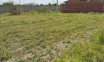 Imagem 5: Terreno no bairro Terra dura