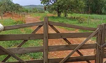 Imagem 5: Fazenda 81 alq. na região de Água Fria só R$ 8.000.000