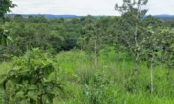 Imagem 2: Chácara a venda cocalzinho Goiás