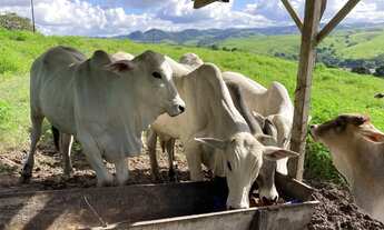 Imagem 3: Sítio Branquinha / União