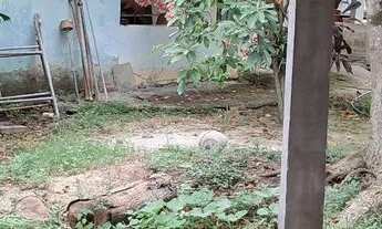 Imagem 4: Sitio em Maria Paula- Niterói