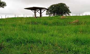 Imagem 4: Fazenda Extra 151 Alqueires - Dupla Aptidão!